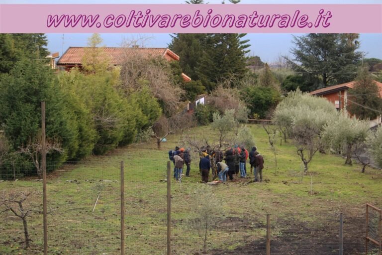 Corso Gratuito sul Metodo Bio Naturale