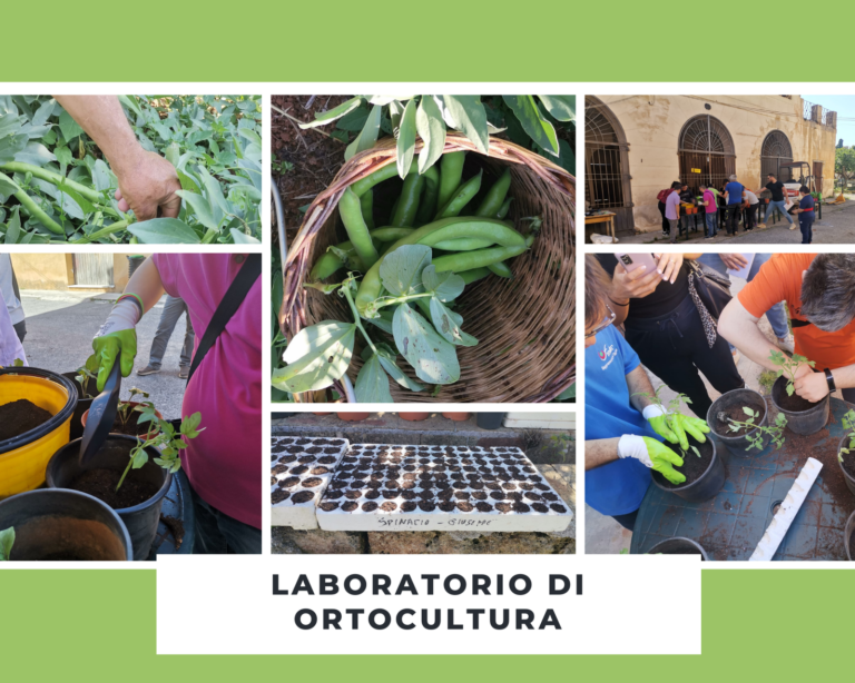 Laboratorio di ortocultura